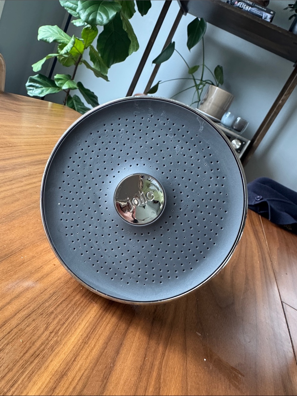 Jolic Large Gray Shower Filter Head with Chrome Accent